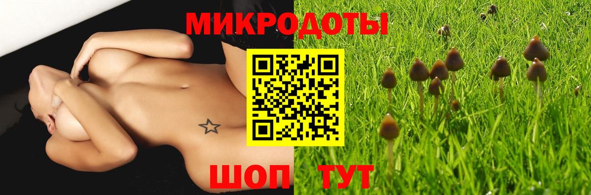 Галлюциногенные грибы Cubensis Шуя